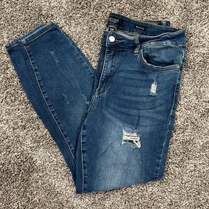 Judy Blue Skinny fit